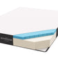 Modway Aveline 8" Twin XL Mattress, MOD-7107 FredCo