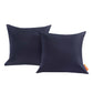 Modway Convene Two Piece Outdoor Patio Pillow Set FredCo