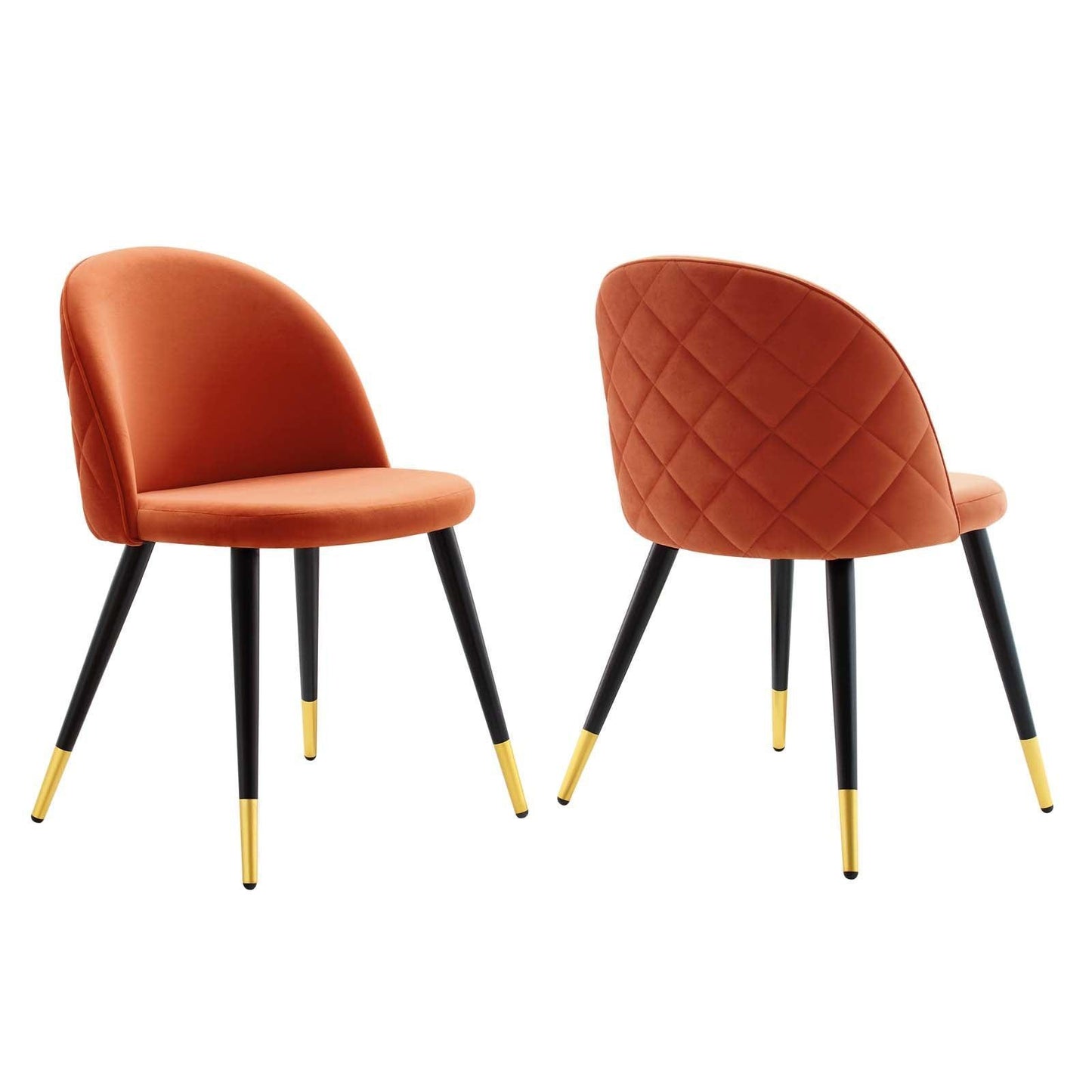 Modway Cordial Performance Velvet Dining Chairs - Set of 2 FredCo