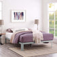 Modway Corinne King Bed Frame FredCo