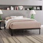 Modway Corinne Queen Bed Frame FredCo