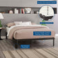 Modway Corinne Queen Bed Frame FredCo