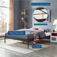 Modway Elsie King Bed Frame FredCo