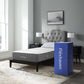 Modway Flexhaven 10" Twin Memory Mattress FredCo