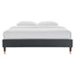 Modway Harlow Queen Performance Velvet Platform Bed Frame FredCo