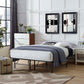 Modway Horizon Full Stainless Steel Bed Frame FredCo