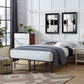 Modway Horizon Queen Stainless Steel Bed Frame FredCo