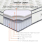Modway Jenna 10" Innerspring and Foam King Mattress FredCo