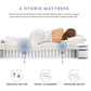 Modway Jenna 12" Innerspring and Foam Mattress FredCo