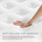 Modway Jenna 12" Innerspring and Foam Mattress FredCo