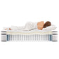 Modway Jenna 14" Innerspring and Foam Full Mattress FredCo