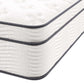 Modway Jenna 14" Innerspring and Foam Queen Mattress FredCo