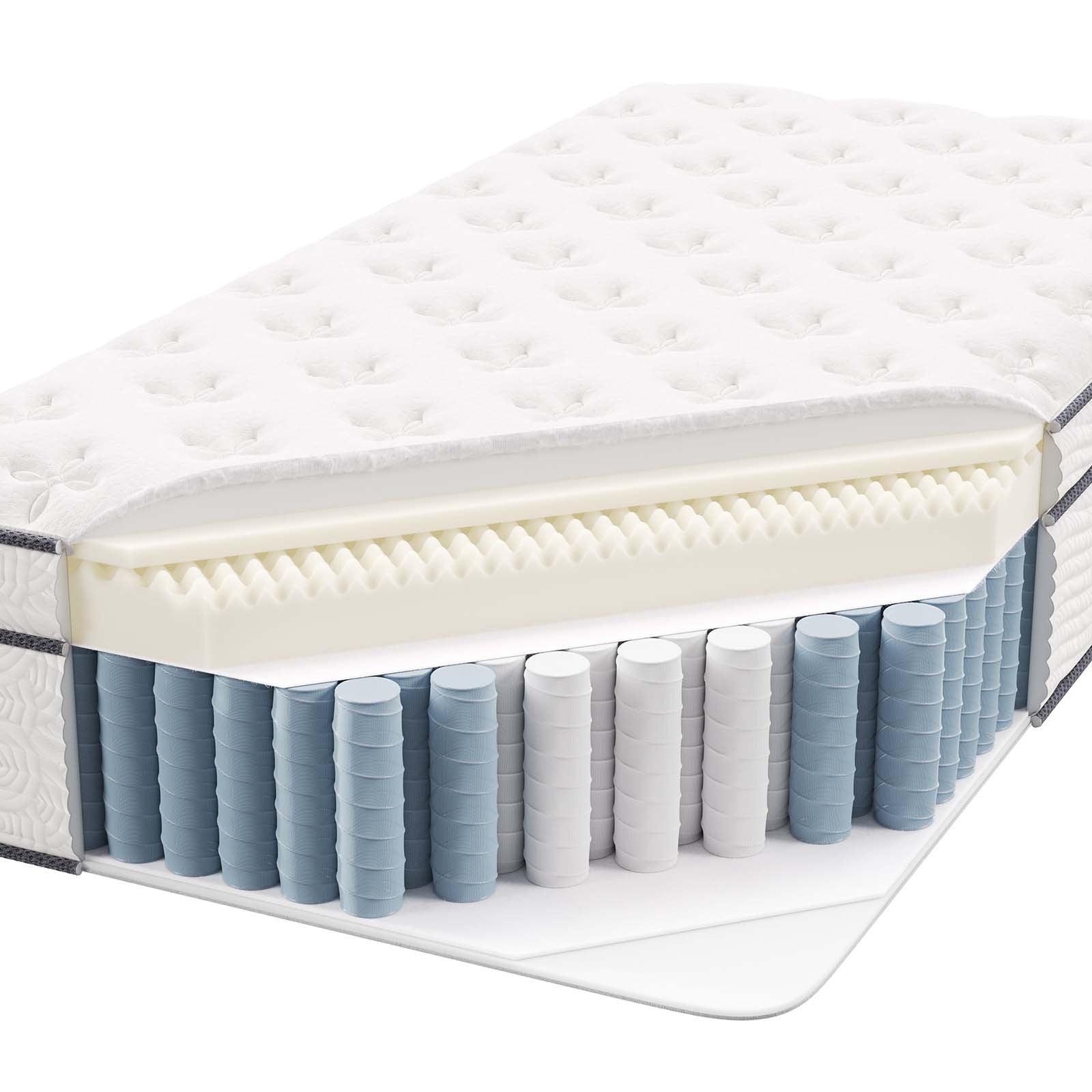 Modway Jenna 14" Innerspring and Foam Twin Mattress FredCo