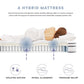 Modway Jenna 6" Innerspring and Foam Mattress FredCo