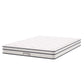 Modway Jenna 6" Innerspring and Foam Mattress FredCo