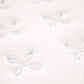 Modway Jenna 8" Innerspring and Foam Narrow Twin Mattress FredCo