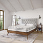 Modway Jenna 8" Innerspring and Foam Queen Mattress FredCo