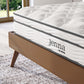 Modway Jenna 8" Innerspring and Foam Queen Mattress FredCo