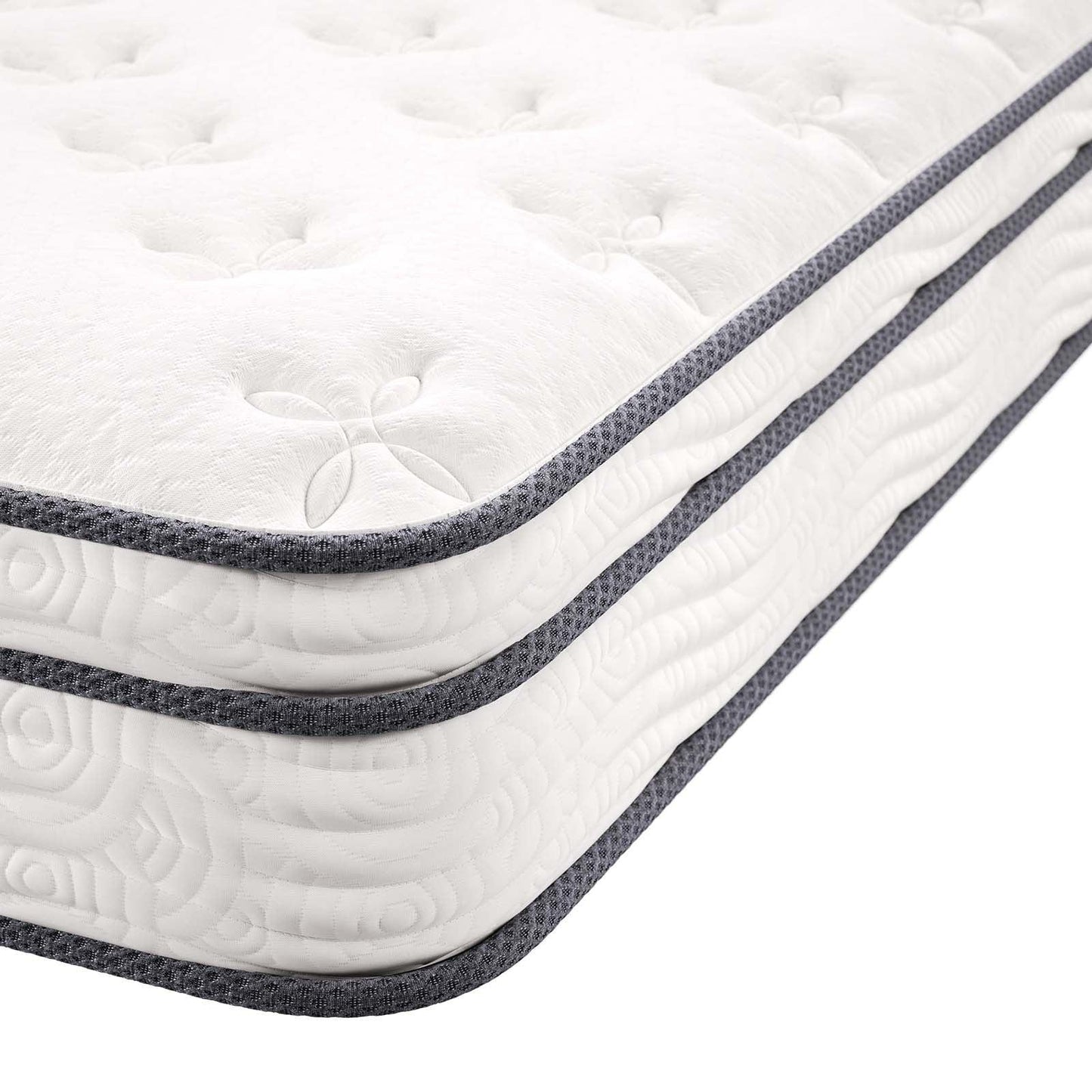 Modway Jenna 8" Innerspring and Foam Queen Mattress FredCo