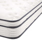 Modway Jenna 8" Innerspring and Foam Queen Mattress FredCo