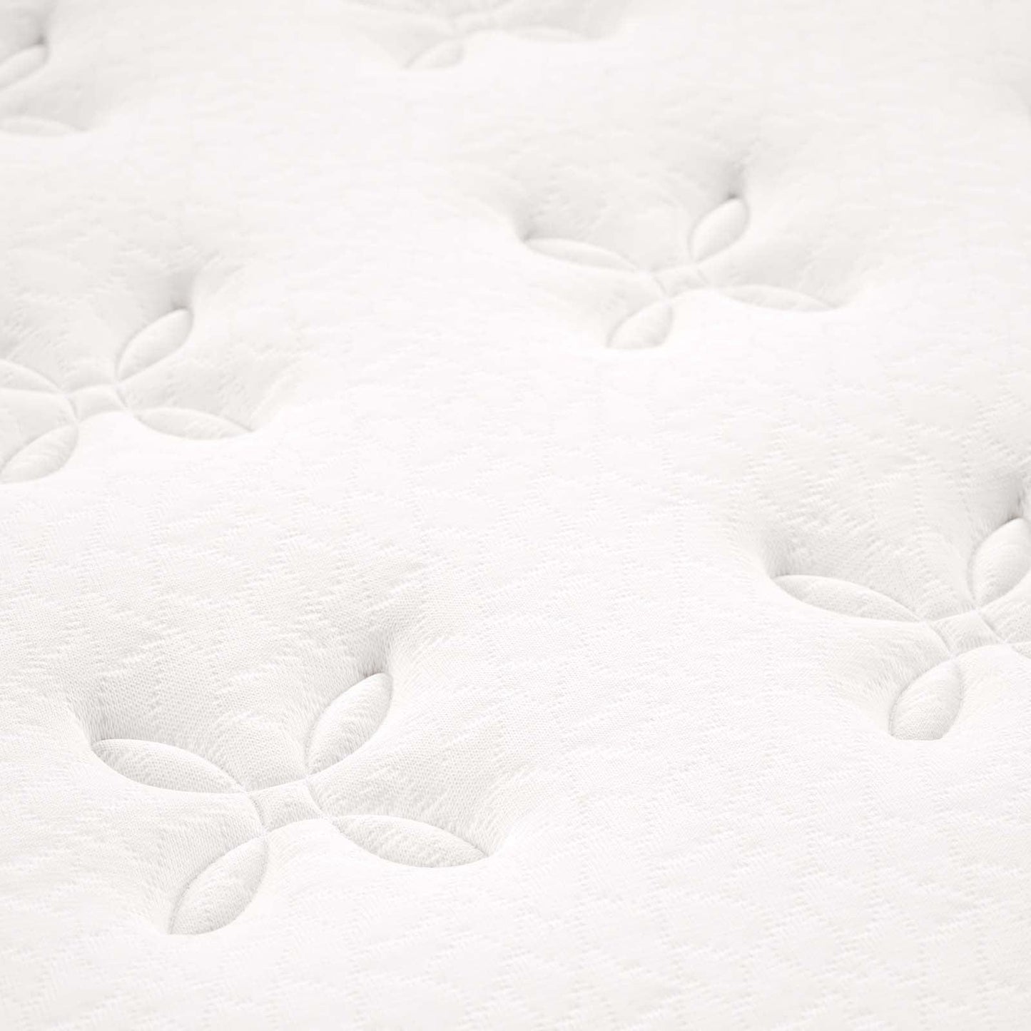 Modway Jenna 8" Innerspring and Foam Queen Mattress FredCo
