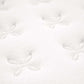 Modway Jenna 8" Innerspring and Foam Queen Mattress FredCo