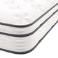 Modway Jenna 8" Innerspring and Foam Twin Mattress FredCo