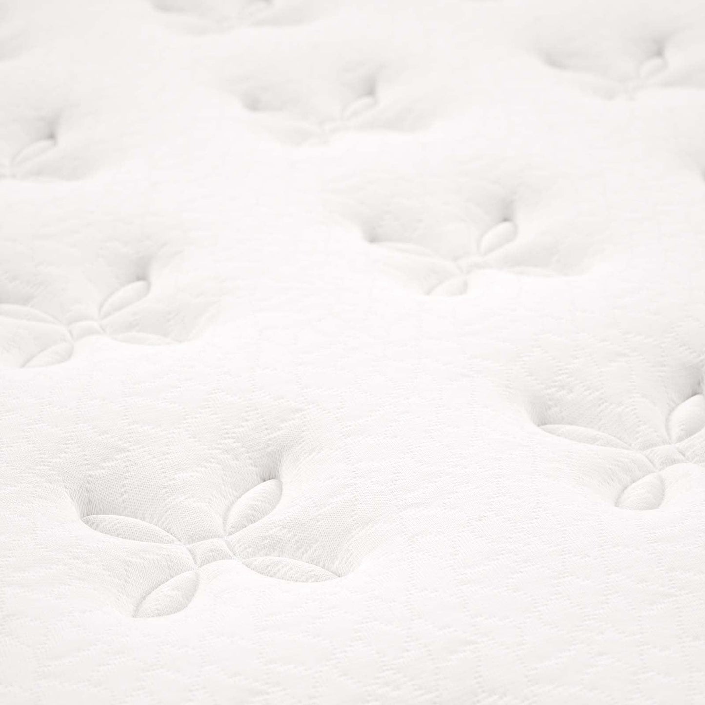 Modway Jenna 8" Innerspring and Foam Twin Mattress FredCo