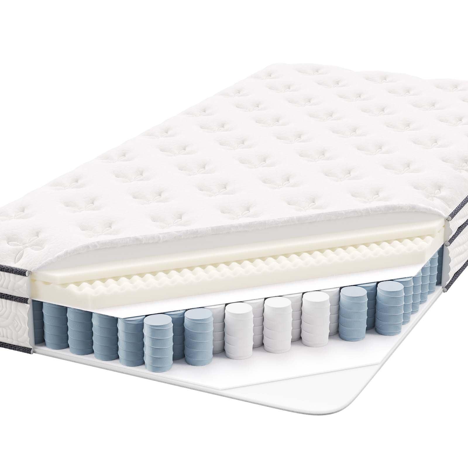 Modway Jenna 8" Innerspring and Foam Twin Mattress FredCo