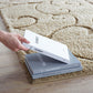 Modway Jubilant Burgeon Scrolling Vine Shag Area Rug FredCo