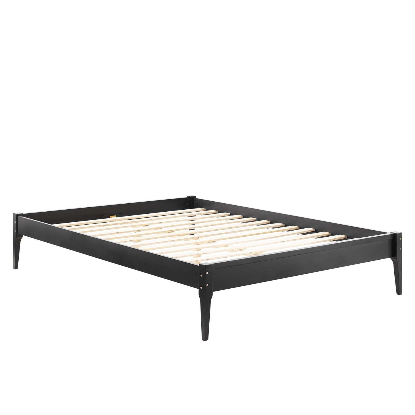 Modway June Twin Wood Platform Bed Frame FredCo