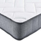 Modway Kate 6" King Mattress FredCo