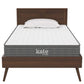 Modway Kate 6" Narrow Twin Mattress, MOD-7097 FredCo