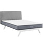 Modway Kate 8" King Mattress FredCo