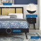 Modway Kelsea Cane and Wood King Platform Bed With Splayed Legs FredCo