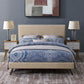 Modway Macie Queen Fabric Platform Bed with Round Splayed Legs FredCo