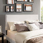 Modway Macie Queen Vinyl Platform Bed with Round Splayed Legs FredCo