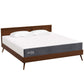 Modway Mila 10" King Mattress FredCo
