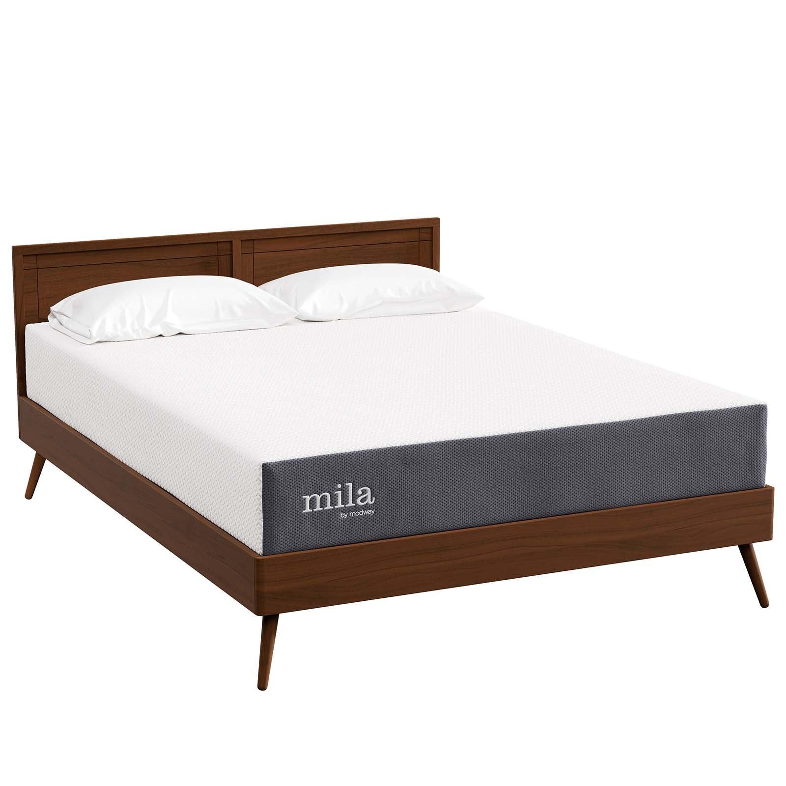 Modway Mila 10" Queen Mattress FredCo