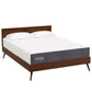 Modway Mila 10" Queen Mattress FredCo