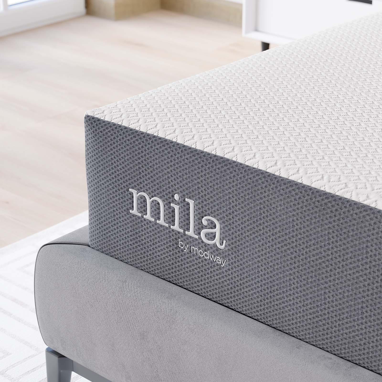 Modway Mila 10" Queen Mattress FredCo
