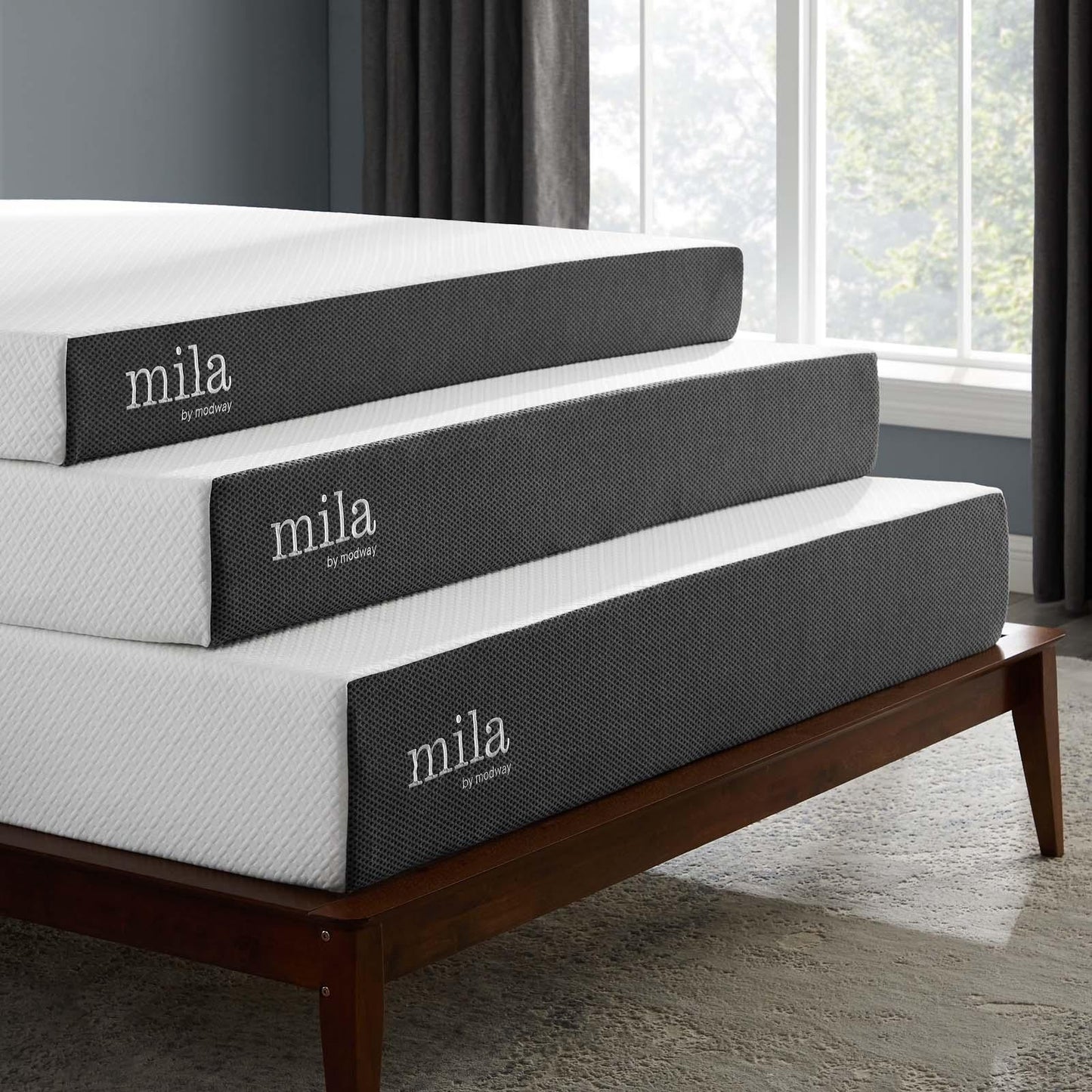 Modway Mila 10" Queen Mattress FredCo