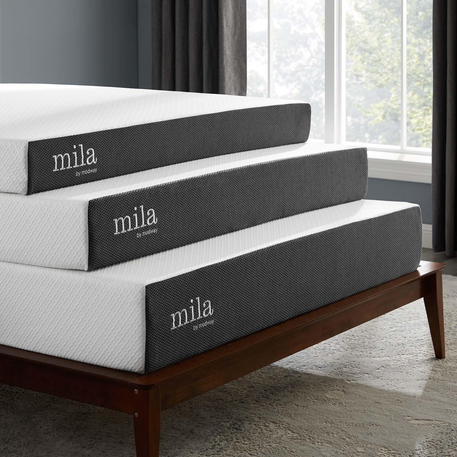 Modway Mila 10" Queen Mattress FredCo