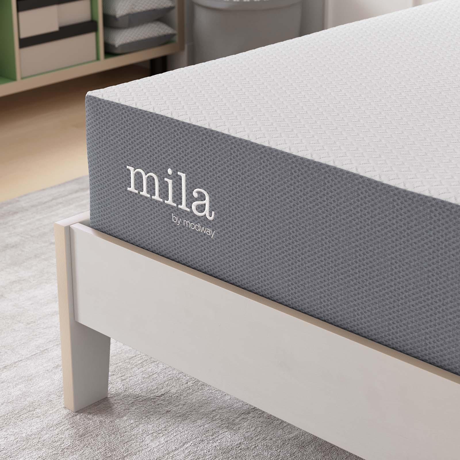 Modway Mila 10" Twin Mattress FredCo