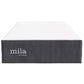 Modway Mila 12" Mattress FredCo