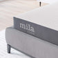 Modway Mila 6" King Mattress FredCo