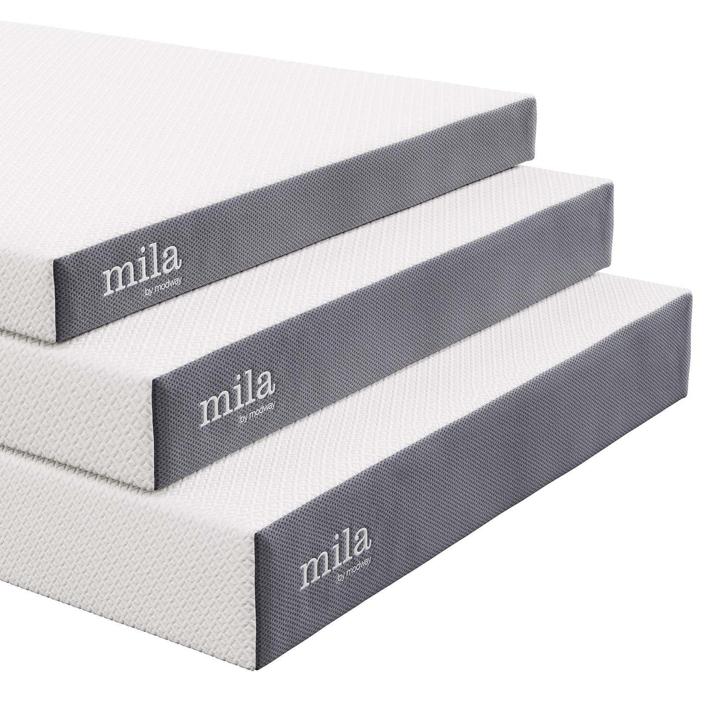Modway Mila 6" Queen Mattress FredCo