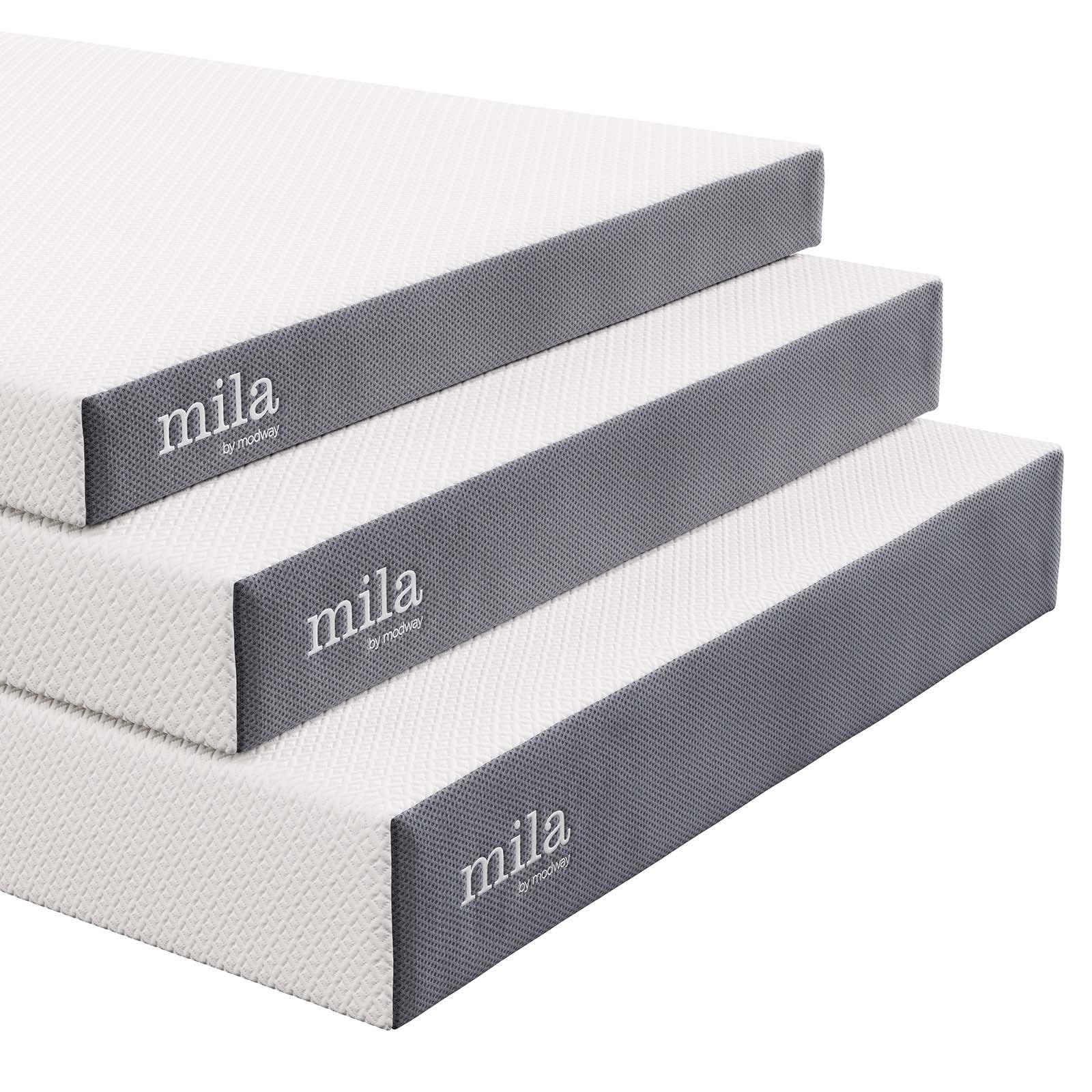 Modway Mila 6" Queen Mattress FredCo