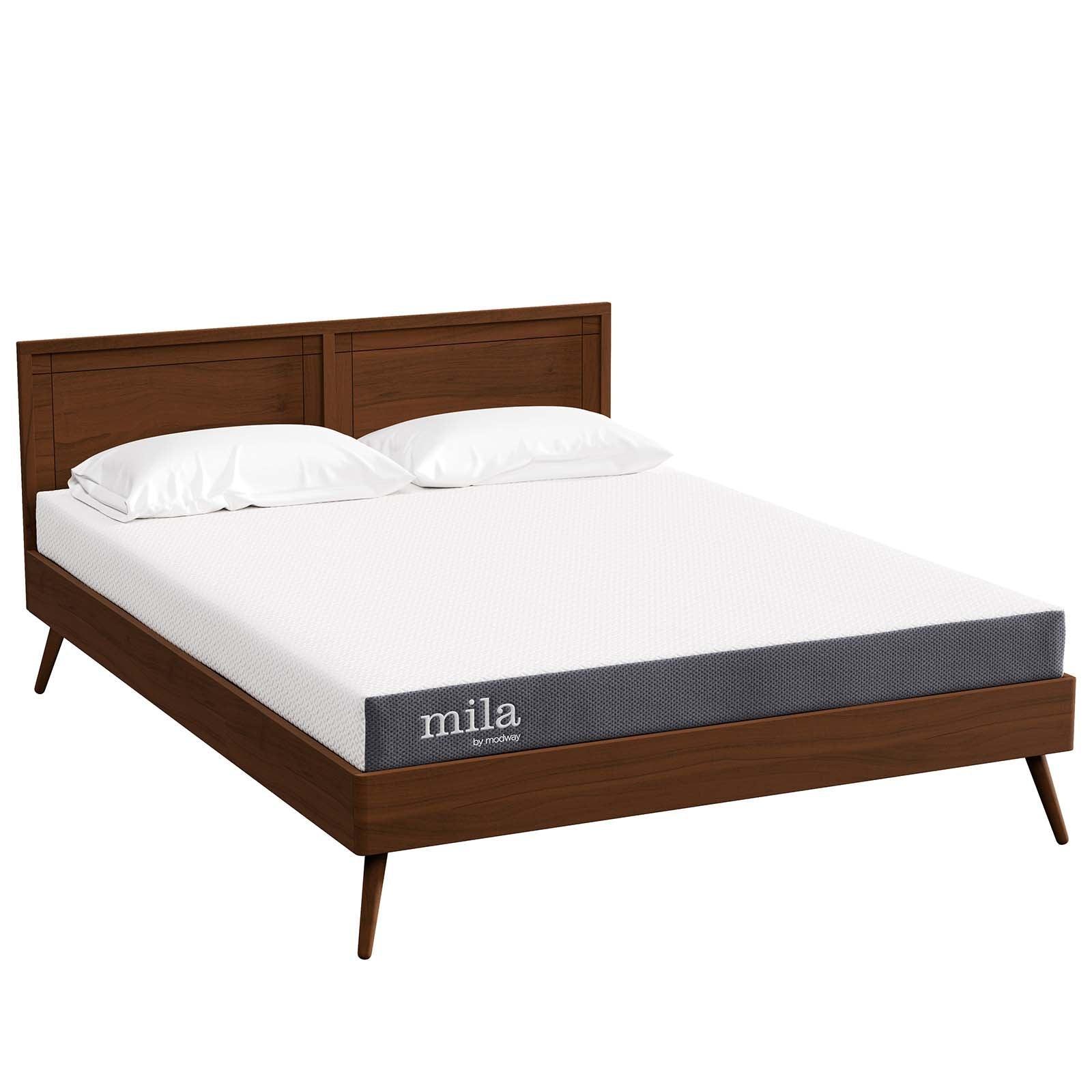 Modway Mila 6" Queen Mattress FredCo