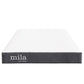Modway Mila 6" Twin Mattress FredCo